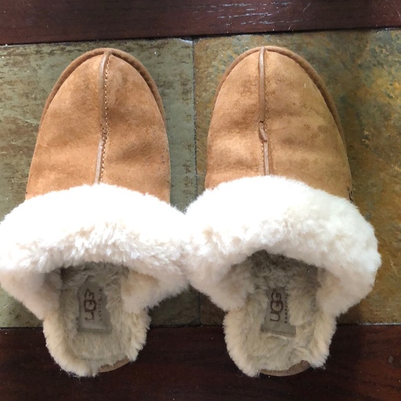 ugg scuffette slippers chestnut